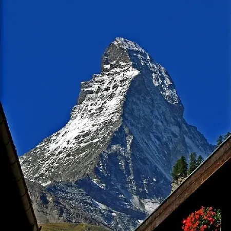 Marmotta Di Montagne