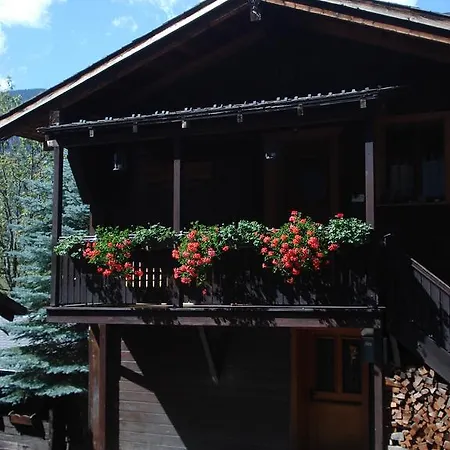 Marmotta Di Montagne